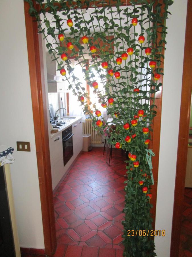 Rainbow House Διαμέρισμα Esino Lario Εξωτερικό φωτογραφία